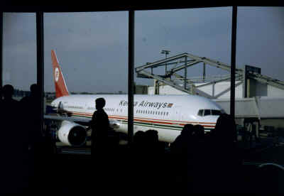 Flughafen Amsterdam, das Warten auf den Weiterflug mit Kenya Airways nach Nairobi.