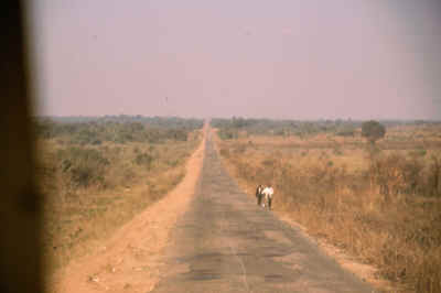 Und wie sich der Straenzustand im Laufe des Tages entwickelt hat... Aber es sollte ja noch schlimmer kommen!
