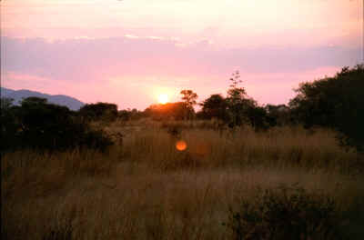 Und wir fuhren und fuhren und fuhren.... Auch der Sonnenuntergang war noch kein Grund endlich angekommen zu sein. Wer braucht denn auch Licht zum Aufbauen der Zelte?