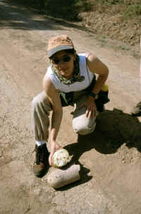 ... und der zugehrigen Frchtchen