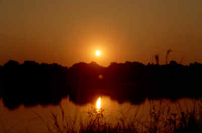Sonnenuntergang ber dem Luangwa River. Zeit fr einen Sundowner.