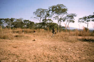 Mittagspause am Wegesrand...